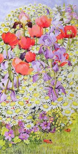 Bescherming van Wilde Bloemen; Tuinrand